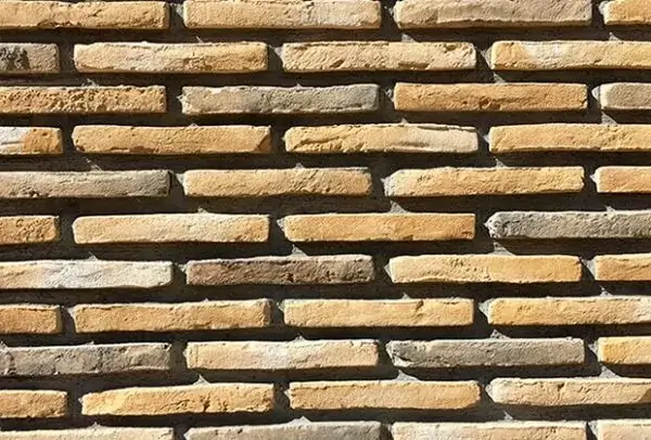 sedir zemheri dekoratif tugla