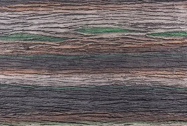 wood shell marron ahsap duvar paneli
